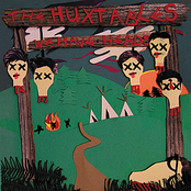 Dog Arena by The Huxtables