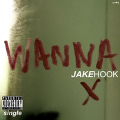 Wanna (single)