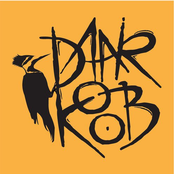 daarkoob