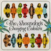 The Sheepdogs: Changing Colours