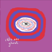Cats See Ghost