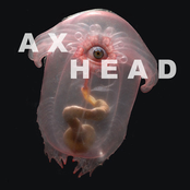 Axhead