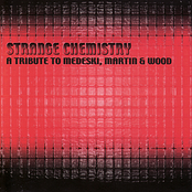 Strange Chemistry: A Tribute To Medeski, Martin & Wood