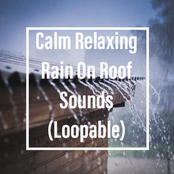 Calm Relaxing Rain On Roof Sounds (Loopable)