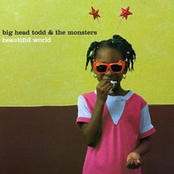 Big Head Todd and The Monsters: Beautiful World