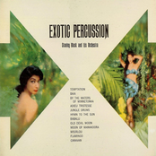 Exotic Percussion