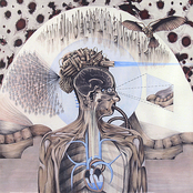 Dan Wallace: Reattachment