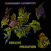 Evasive Migration