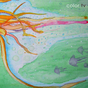 Color TV: Calamares