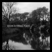 Reborn In Strange Places
