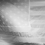 White Boiz: Neighborhood Wonderful