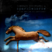 homenaje espontaneo a sparklehorse a un mes de su partida