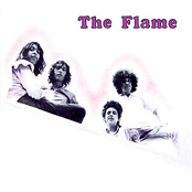 Psychedelic Essentials