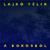 A bokorból