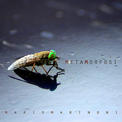 Metamorfosi