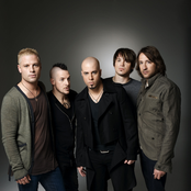 daughtry