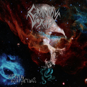 Infinite Interactions