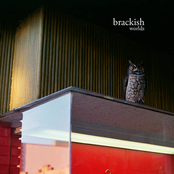 Brackish: Worlds