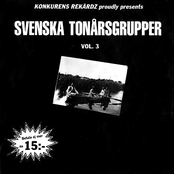 Svenska Tonårsgrupper Vol. 3