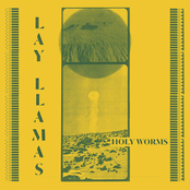 Holy Worms