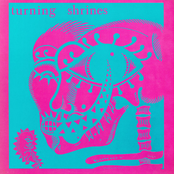 Cinnabar & Porcelain