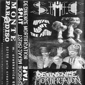 Hopeful About The Future (split tape with Desinence Mortification)