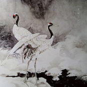 悲赋之秋 / 司命楼兰