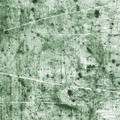 In The Memory Of A Rose No One Had Ever Seen A Gardener Die