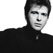 Peter Gabriel - So Artwork