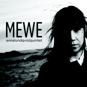 Mewe