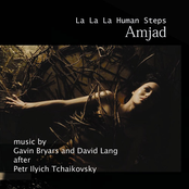 David Lang: Amjad