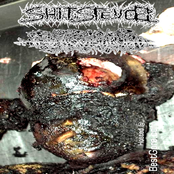 Shitstench / Trabecular Hepatocellular Carcinoma