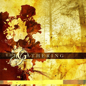 Frail (live) by The Gathering