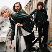 sunflower bean