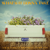 What's It Gonna Take