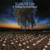 Signs Of Life: A Tribute To Pink Floyd