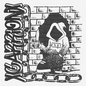 WINFIELD STRAIGHT EDGE