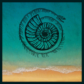 The Narcissist Cookbook: CONDITIONAL LOVE & Beachcomber Blues