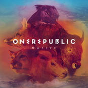 What You Wanted by Onerepublic