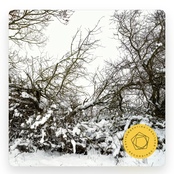 Rachmaninoff: Piano Concerto No. 2