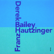 derek bailey & franz hautzinger