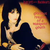 Glorious Results of a Misspent Youth cover