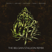 Crystal F – Gras in der Luft (The Belgian Stallion Remix)
