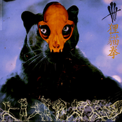 JUNGLECAT TECHNIQUE mixtape