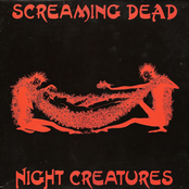 Night Creatures 12"