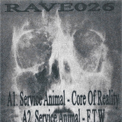 RAVE026