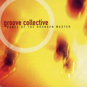 Groove Collective: Dance of the Drunken Master