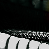 Bathtub (III/IV) Live