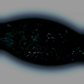 Devastating Brain Injury