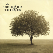 The Orchard Thieves